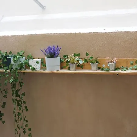 Modern Urban Host With Private Courtyard