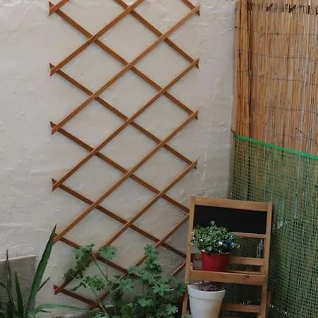 Modern Urban Host With Private Courtyard