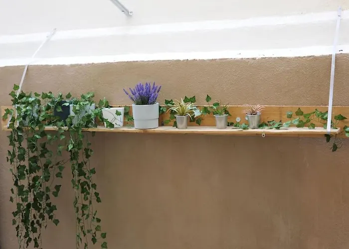 Modern Urban Host With Private Courtyard