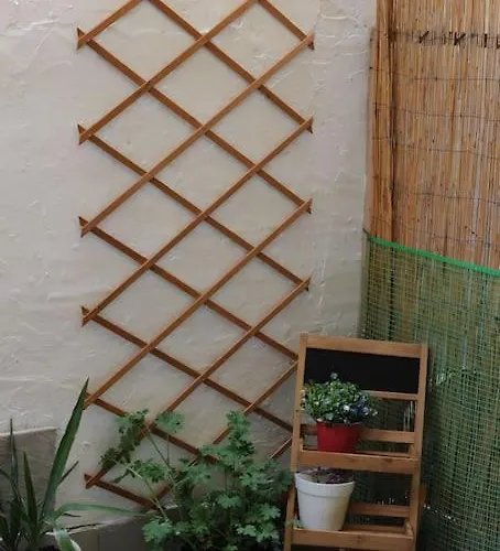 Modern Urban Host With Private Courtyard